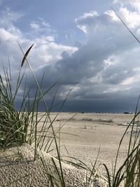 Scenic view of beach against sky