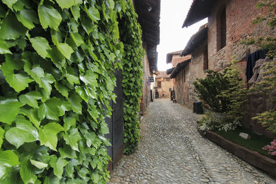 Narrow walkway along footpath