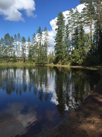 Reflection of trees in lake against sky