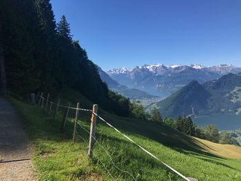 Scenic view of agricultural field against clear blue sky