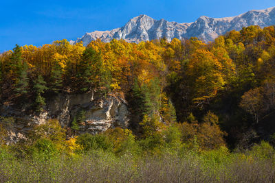 Autumn in the mountains of chechnya in the caucasus