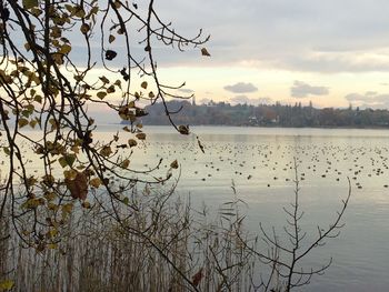 Scenic view of lake against sky during sunset
