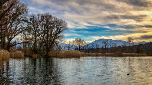 Scenic view of lake by trees against sky