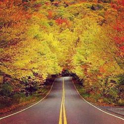 Road passing through country road