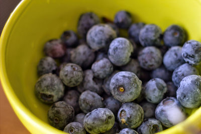 Top view closeup of fresh blueberries in a bowl. blue forest berries. macro photo of healthy fruits