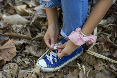 Low section of boy holding dry leaf