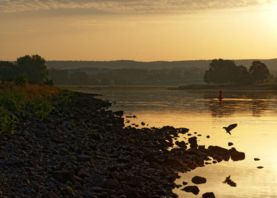 Moody light at sunrise on a river with low water level, a bird is just landing on a stone
