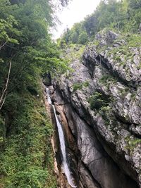 Scenic view of rocks in forest