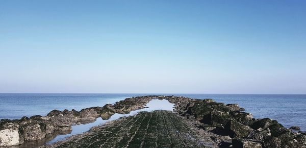 Scenic view of sea against clear sky