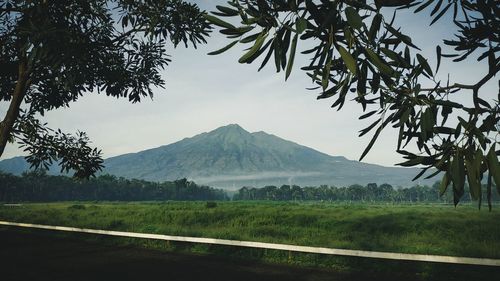 Scenic view of landscape against sky