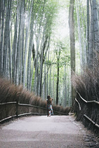 Boy walking on road amidst trees in forest