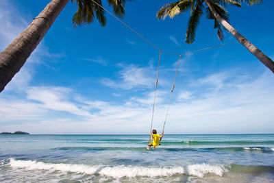 Rear view of person on swing amidst palm trees on beach 