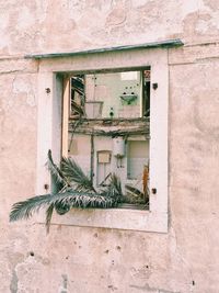 Low angle view of window on wall of building