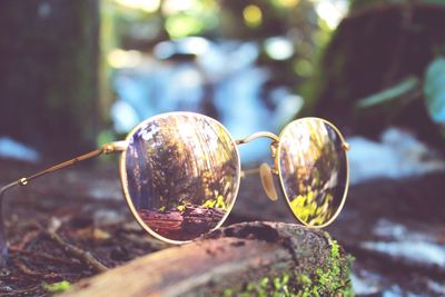 Close-up of sunglasses on wood in forest