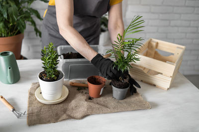 Midsection of woman holding potted plant