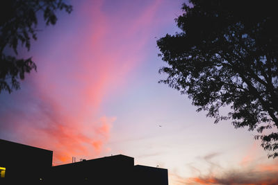 Low angle view of silhouette trees against sky at sunset