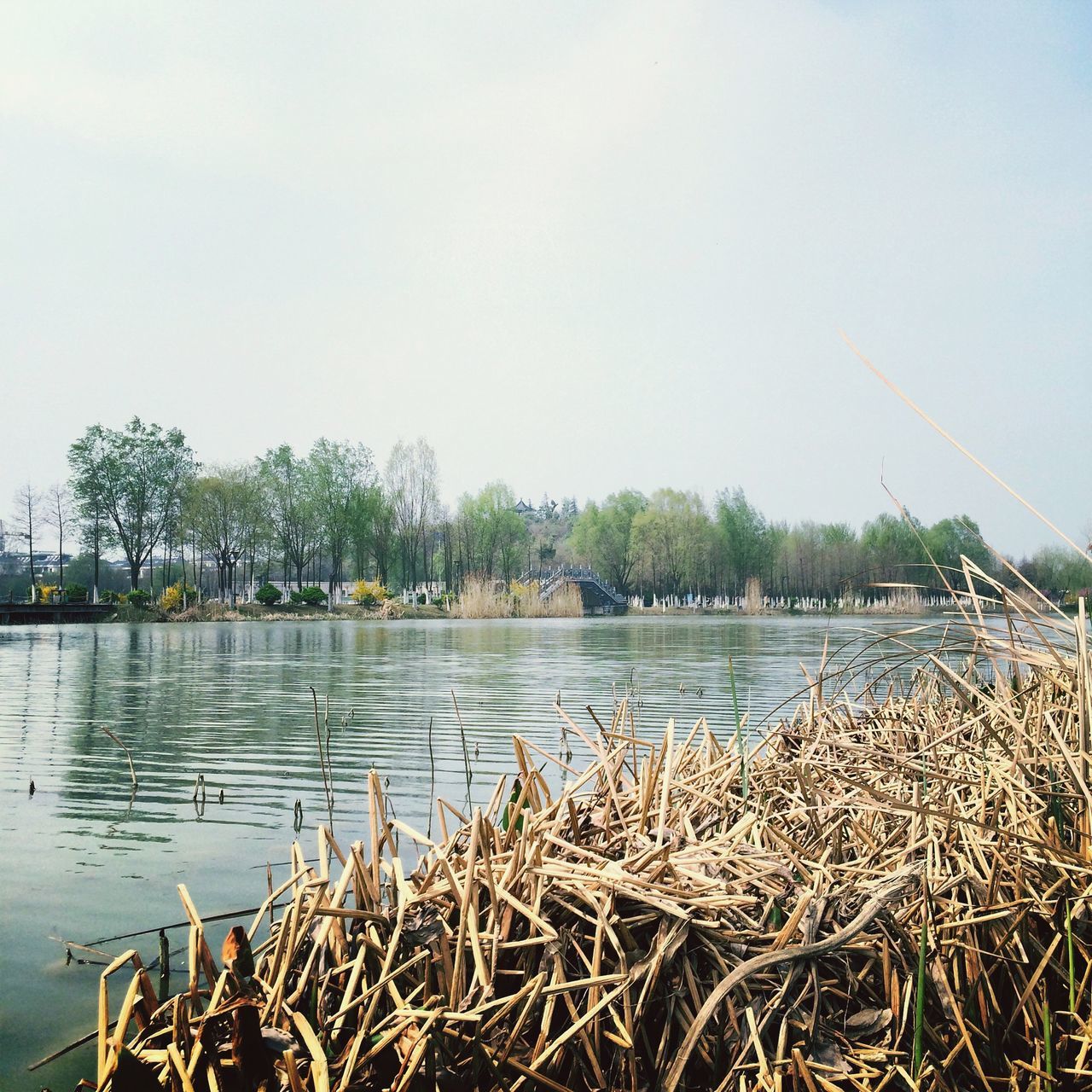 water, clear sky, tranquility, lake, nautical vessel, tranquil scene, nature, scenics, moored, boat, beauty in nature, transportation, tree, plant, copy space, mode of transport, lakeshore, sky, day, growth