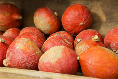 Pumpkins on the field in the countryside