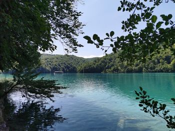 Scenic view of lake by trees against sky