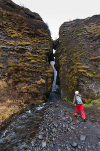 Rear view of person standing on rock