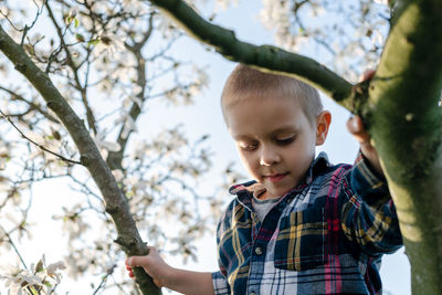 Boy looking at tree