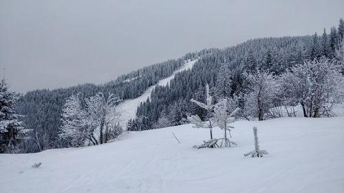 Scenic view of snow covered field against sky