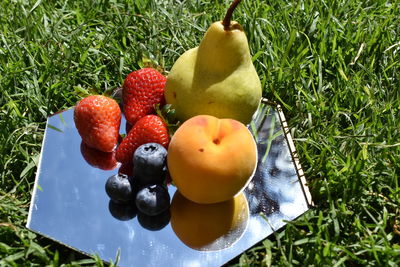 High angle view of apples in container on field