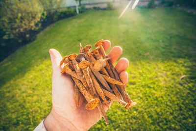 Close-up of hand holding leaf