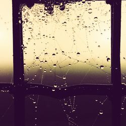 Close-up of water drops on glass