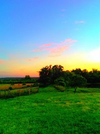 Scenic view of grassy field against sky