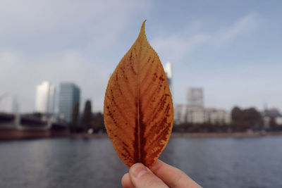 Close-up of hand holding autumn leaf over river against sky