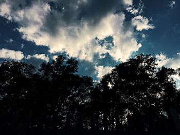 Low angle view of trees against cloudy sky