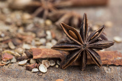 Close-up of dry leaf on wood
