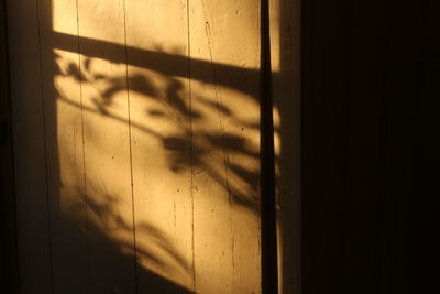 Close-up of shadow on floor