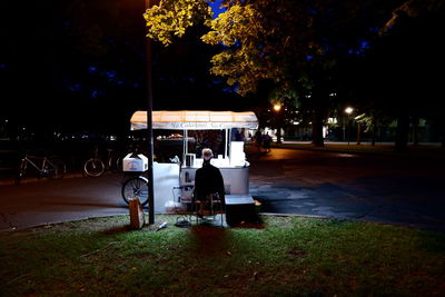 Rear view of people in park at night