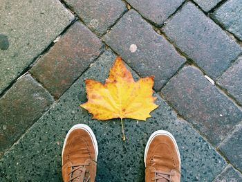 Orange leaf on sidewalk