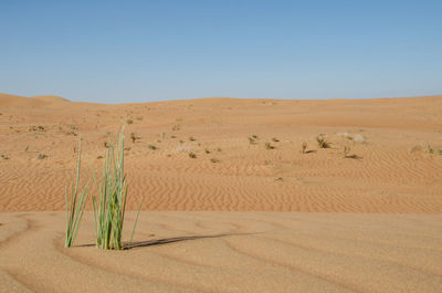 Scenic view of desert against clear sky