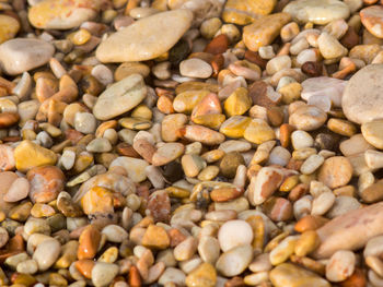 Full frame shot of coffee beans