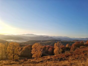 Scenic view of landscape against clear sky