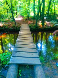 Wooden footbridge in forest