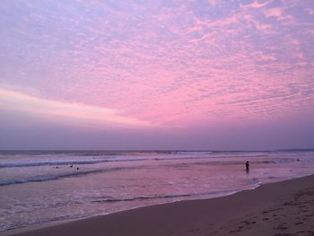 View of beach at sunset