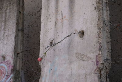 Close-up of weathered wall