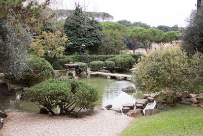 Scenic view of lake and trees