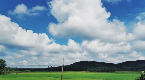 Scenic view of field against sky