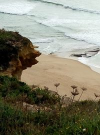 Scenic view of beach