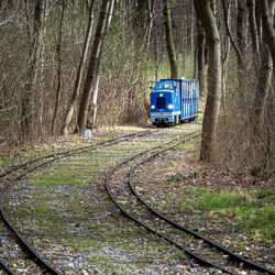 Train on railroad track amidst trees in forest