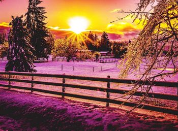 Scenic view of snow covered field against sky at sunset