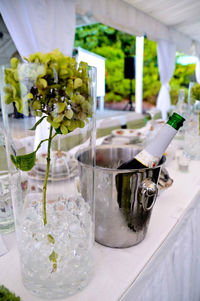 Close-up of potted plant on table