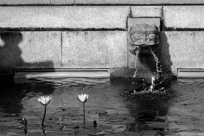Water fountain in front of wall by lake