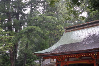 View of temple and trees in forest